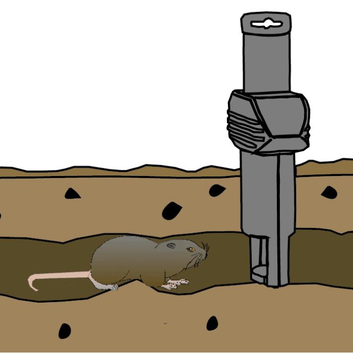 Vole trap SWISSINNO SOLUTIONS