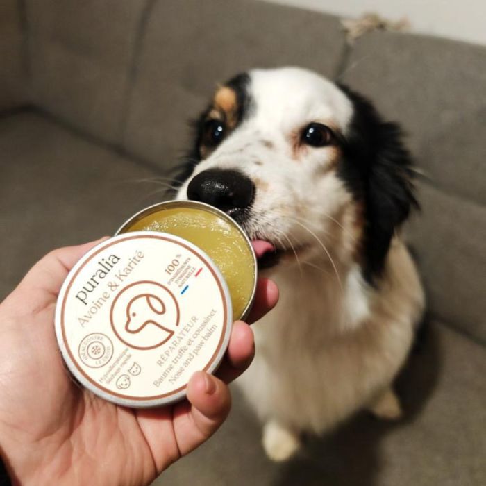 Pflegebalsam für Nase und Pfotenballen 50 ml PURALIA