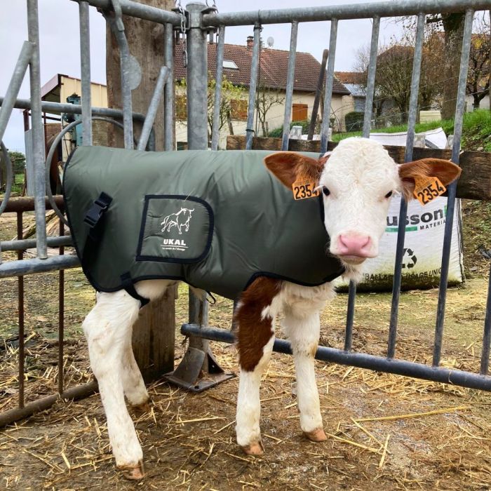 Premium Kälberdecke - 3-Lagig Und Wasserabweisend