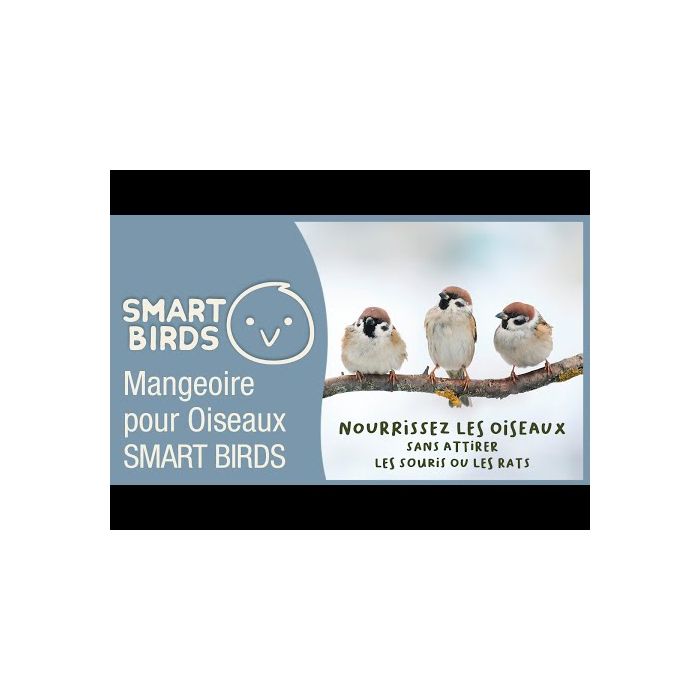 SMART BIRDS Vogelfutterhaus gegen Schädlinge grau SWISSINNO