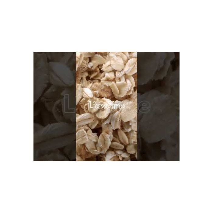  Shampoo für das ganze Fell 1L PURALIA