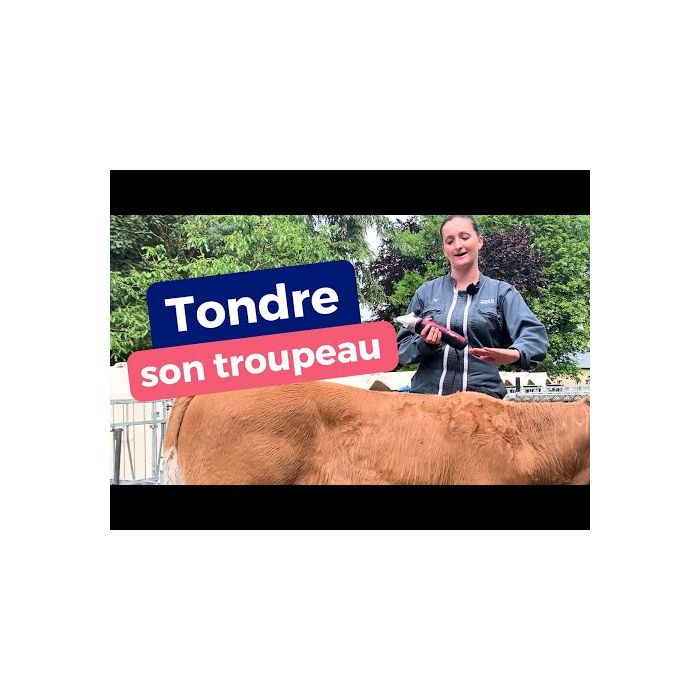 Tondeuse XPLORER PRO 2 vitesses sans fil
