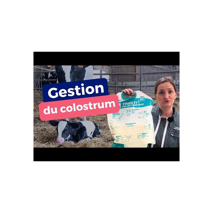 50 Sacs pour colostrum ANTAHI
