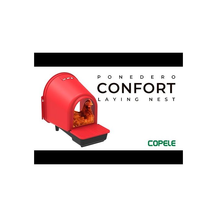 Pondoir avec compartiment oeufs COPELE