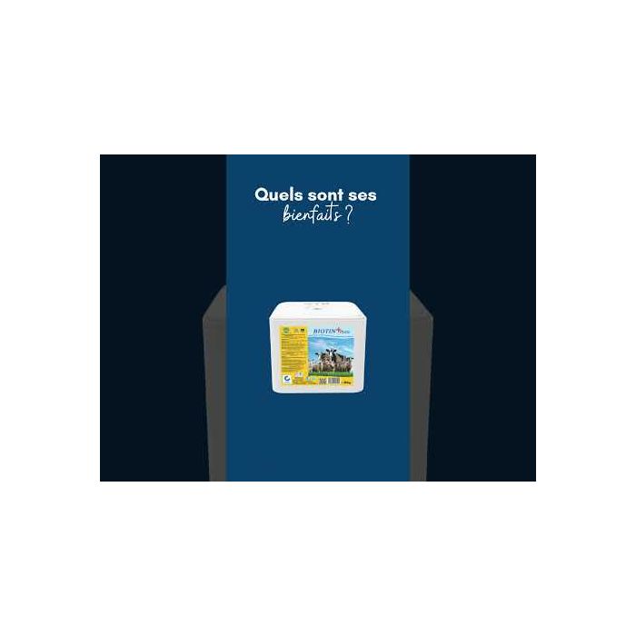 Mineral lick block with biotin and vitamin E 10 kg IMIMA