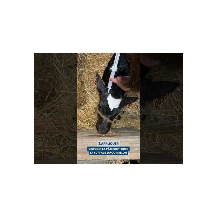 Enthornungspaste NETHORN