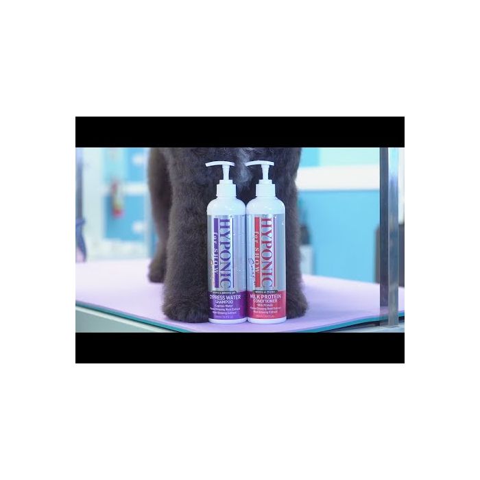Après-shampoing volumisant 
