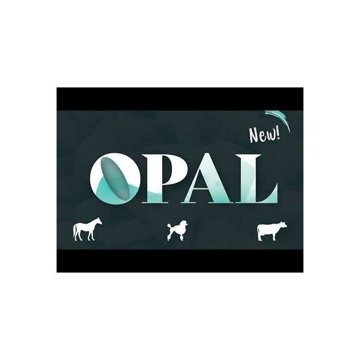  Opal Clipper HEINIGER