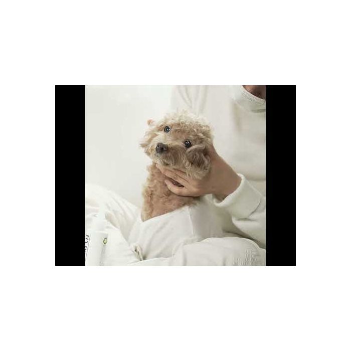Nettoyant oreille naturel et hypoallergénique pour chien 120 ml HYPONIC