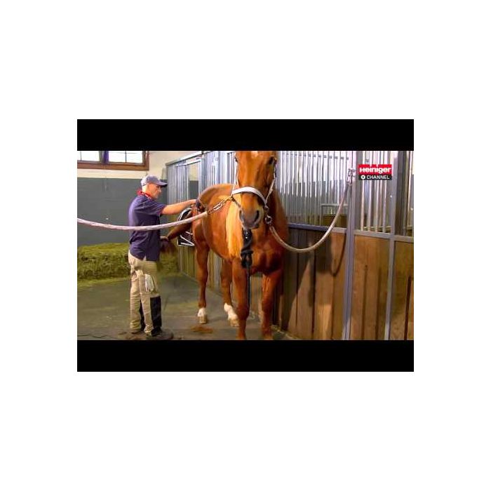 Heiniger Schermaschine Saphir