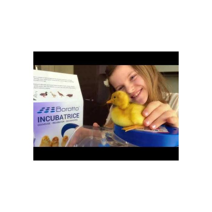 Automatischer Brutapparat Lumia 8