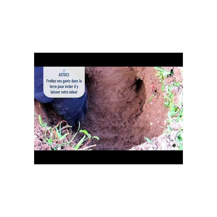 Putange mole trap, pack of 2