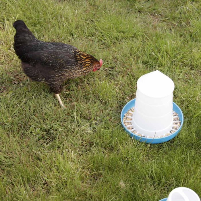 Poultry feeder «Mountain» 3 kg