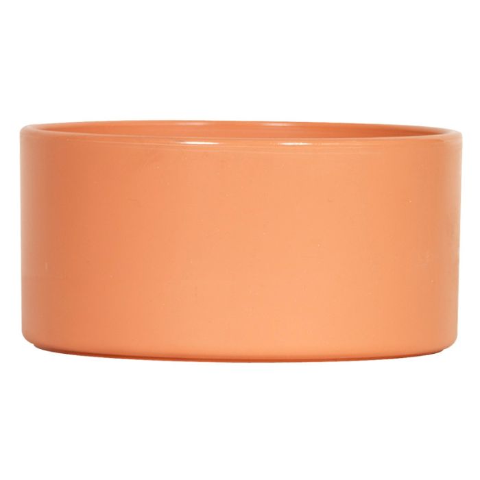 Kaninchen-Taubentrog/Rund