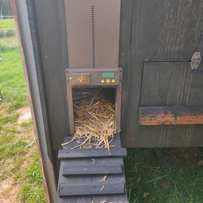 Automatic doorman for chicken coop CHICK'A