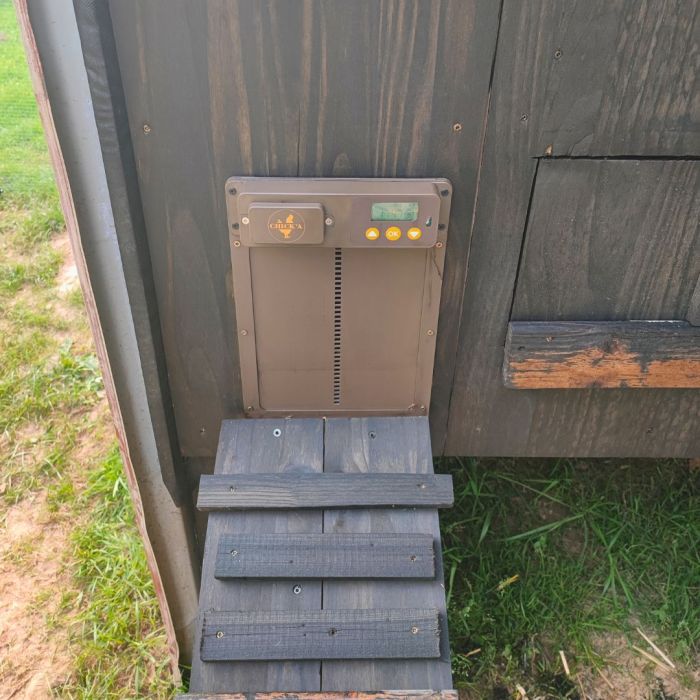 Automatic doorman for chicken coop CHICK'A