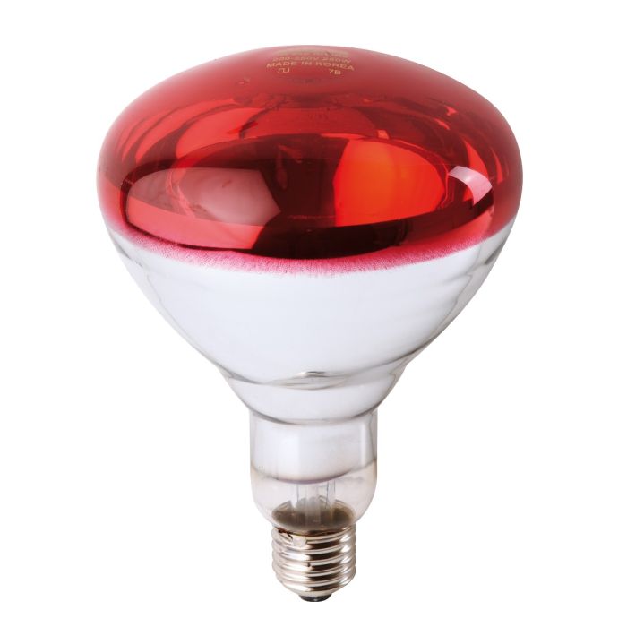 Philips IR light bulb 150 W - Red