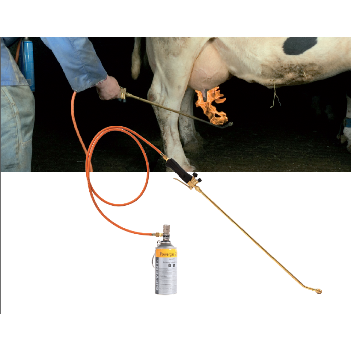 Thermischer Euterenthaarer