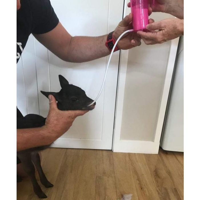 Replacement tube for the TrustiTuber for lamb ANTAHI