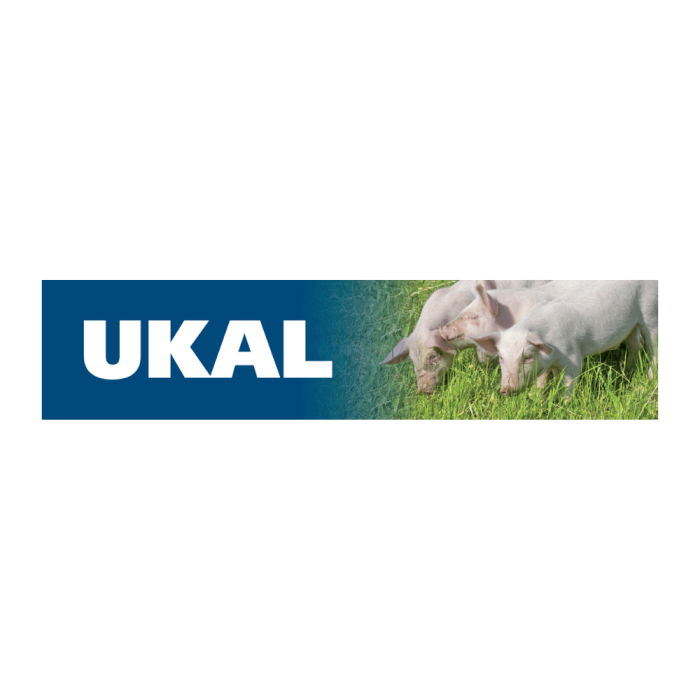 1 m UKAL pigs topper 2023
