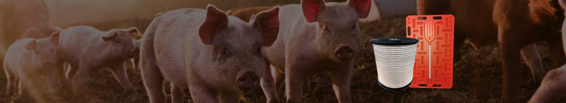 UKAL-équipements-porcins