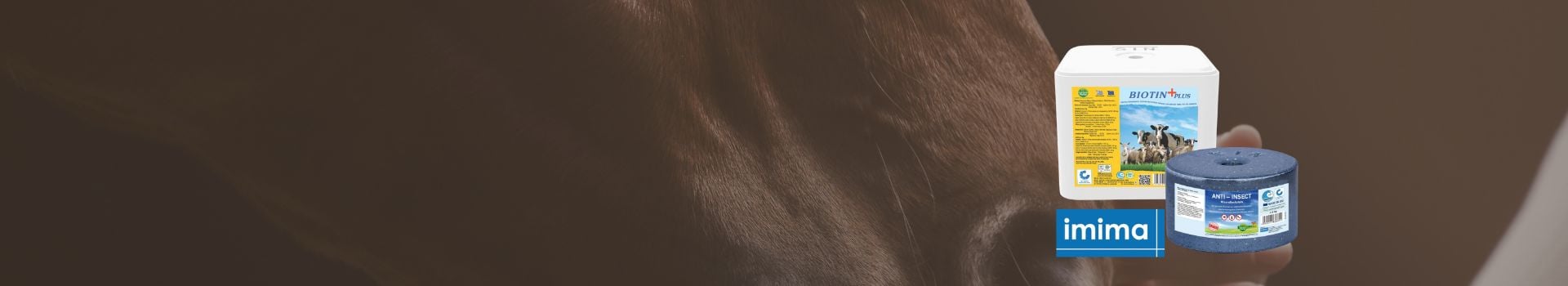 UKAL-Pierre-à-lécher