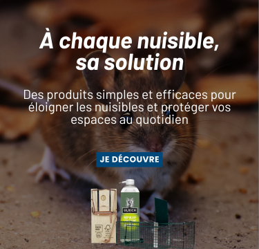 1st Slide mobile